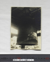sc昭せ081000330035real.jpg