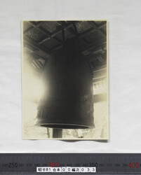 sc昭せ081000330037real.jpg