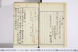 明い001010020004.jpg
