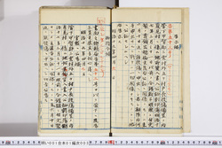 明い001010030002.jpg