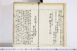 明い001010040008.jpg