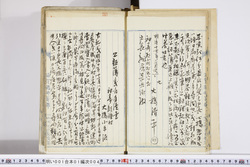 明い001010040009.jpg