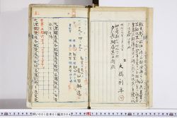 明い001010040011.jpg