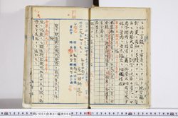 明い001010060002.jpg