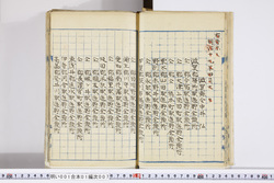 明い001010070002.jpg