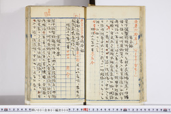 明い001010080002.jpg