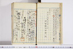 明い001010090002.jpg