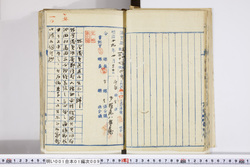明い001010090003.jpg