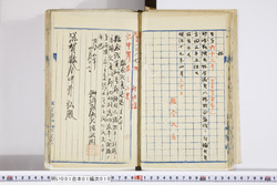 明い001010100002.jpg