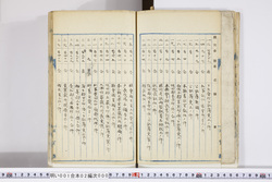 明い001020000003.jpg