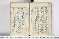 明い001020010004.jpg