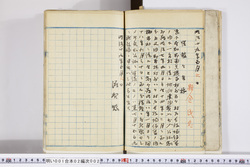 明い001020020003.jpg
