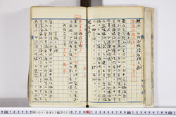明い001020030002.jpg