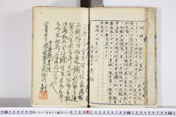 明い001020050002.jpg