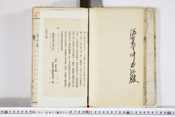 明い001020050003.jpg