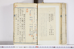 明い001020050004.jpg