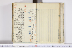明い001020090003.jpg