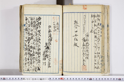 明い001020100004.jpg