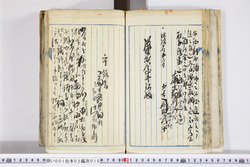 明い001020100006.jpg