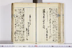 明い001020100007.jpg