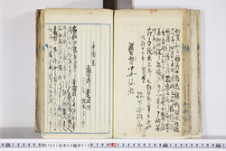 明い001020100009.jpg