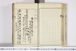 明い001020110004.jpg
