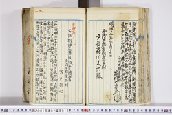 明い001020120007.jpg
