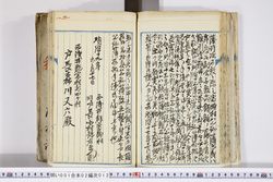 明い001020120009.jpg