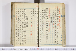 明い001020160002.jpg