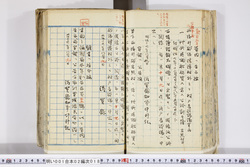 明い001020180002.jpg