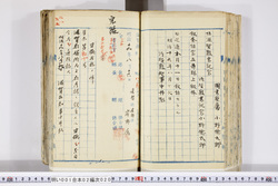 明い001020200002.jpg