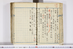 明い001020230002.jpg