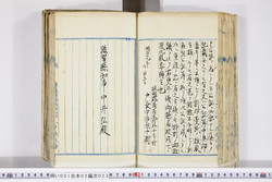 明い001020230005.jpg