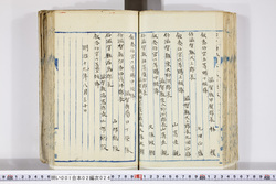 明い001020240003.jpg