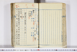 明い001020270003.jpg
