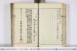 明い001020280002.jpg