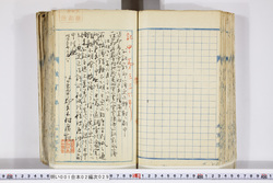 明い001020290003.jpg