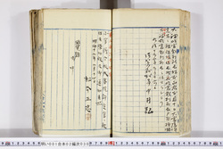 明い001020300002.jpg