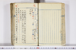 明い001020300003.jpg