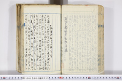 明い001020330007.jpg