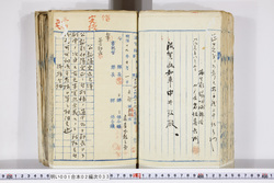 明い001020330008.jpg