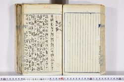 明い001020350005.jpg