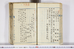 明い001020370002.jpg