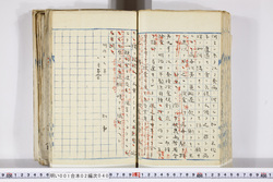 明い001020400002.jpg