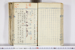 明い001020400003.jpg
