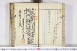 明い001020410004.jpg