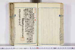 明い001020410005.jpg