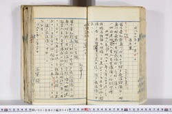 明い001020420002.jpg