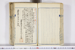 明い001020420004.jpg