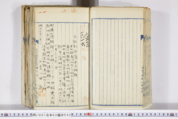 明い001020420005.jpg